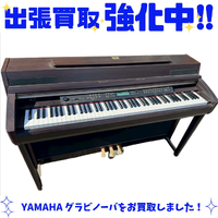 画像737